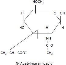 sialic acid